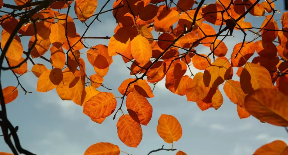 Se terminó el verano