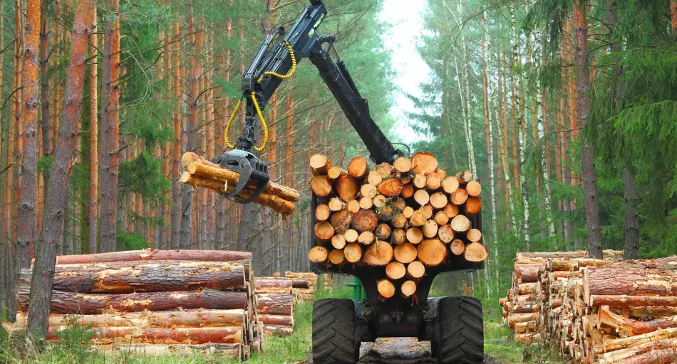 Uruguay ya juega en primera. ¿Corrientes empieza el partido?