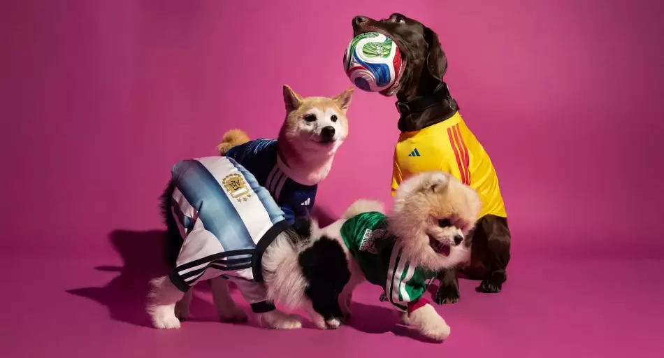 Adidas lanzó una colección inédita de camisetas para perros de cara al Mundial: cuánto cuestan