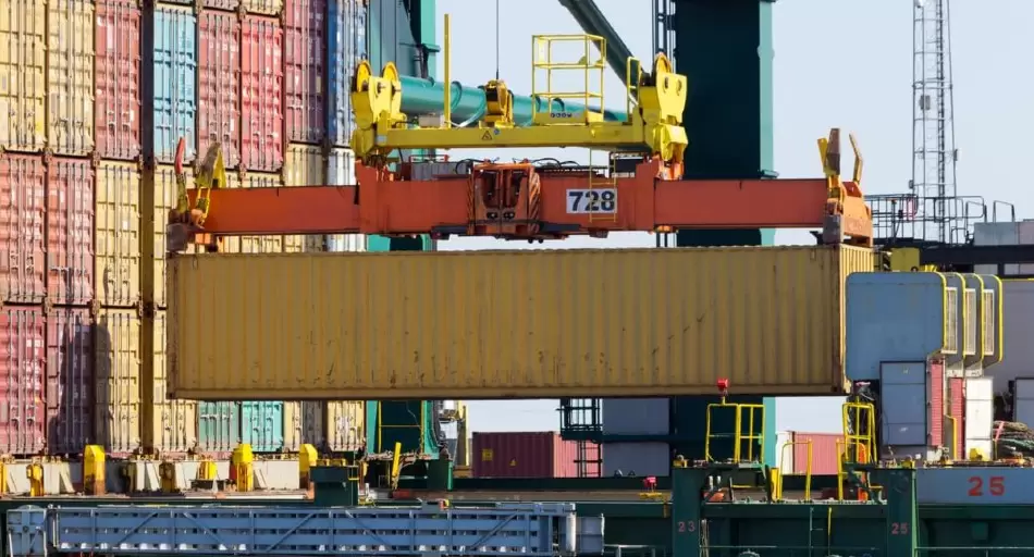Importaciones récord en Argentina: cuáles son los productos extranjeros que más crecieron y ganaron mercado