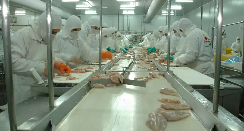 LA PRINCIPAL AVÍCOLA DEL PAÍS, AL LÍMITE: PARALIZÓ SU PLANTA MÁS IMPORTANTE Y TEMEN EL CIERRE DEFINITIVO