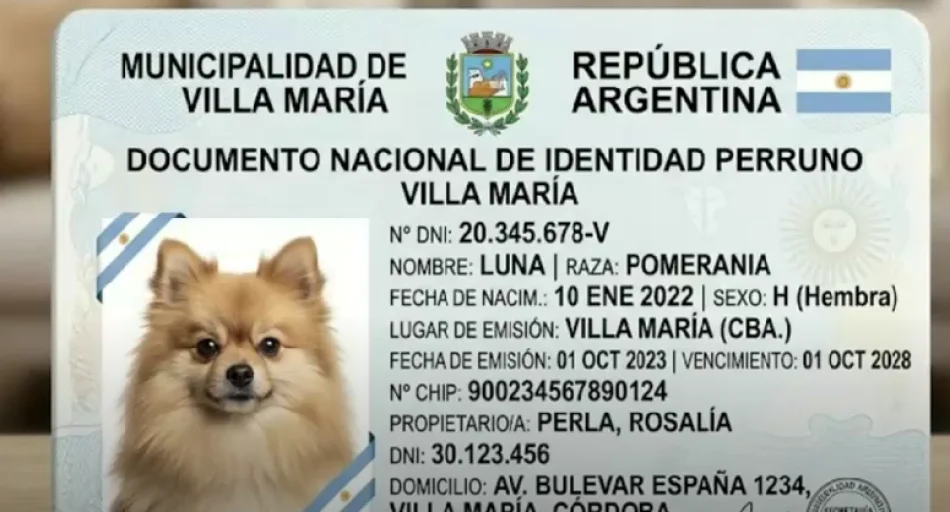 DNI obligatorio para perros y gatos: dónde ya rige y las multas llegan a $844.000