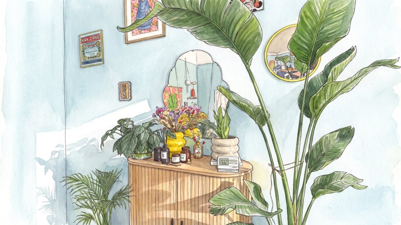 3 acciones simples para hacer en primavera e impulsar el crecimiento de las plantas de interior
