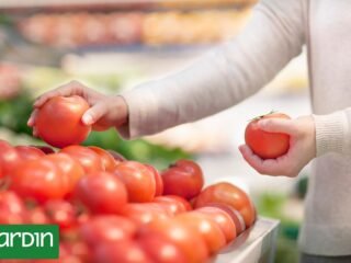 Por qué los tomates actuales tienen menos sabor que antes