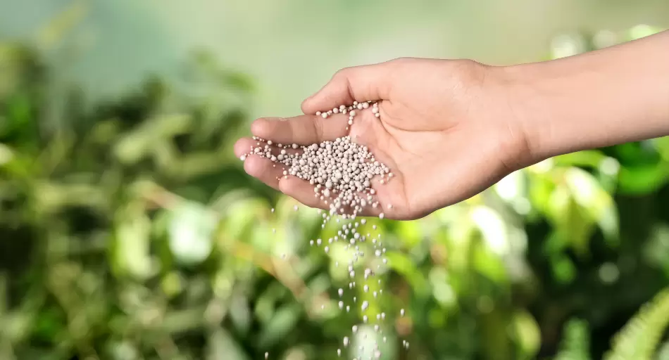 El gas del Cono Sur permitiría sustituir el 100% de las importaciones de urea con producción regional competitiva