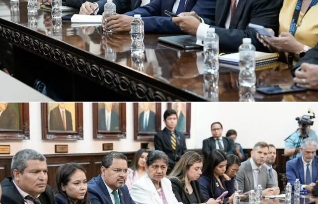 Presentan ante el Congreso de Honduras propuesta para reformar el sistema electoral