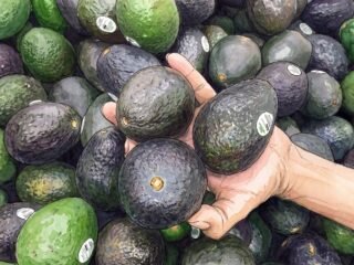 Qué señales conviene revisar al elegir una palta