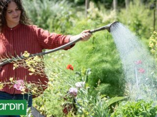 Los siete errores que podés cometer en el jardín cuando creés que ya pasó el frío
