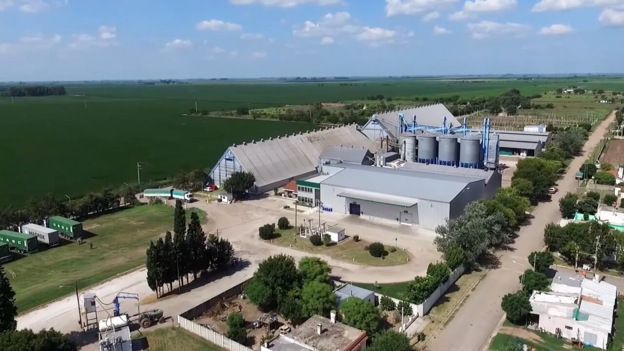 “Insolvencia definitiva e irremediable”: un gigante cordobés de la exportación de maní pidió su propia quiebra