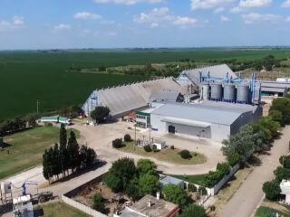 “Insolvencia definitiva e irremediable”: un gigante cordobés de la exportación de maní pidió su propia quiebra