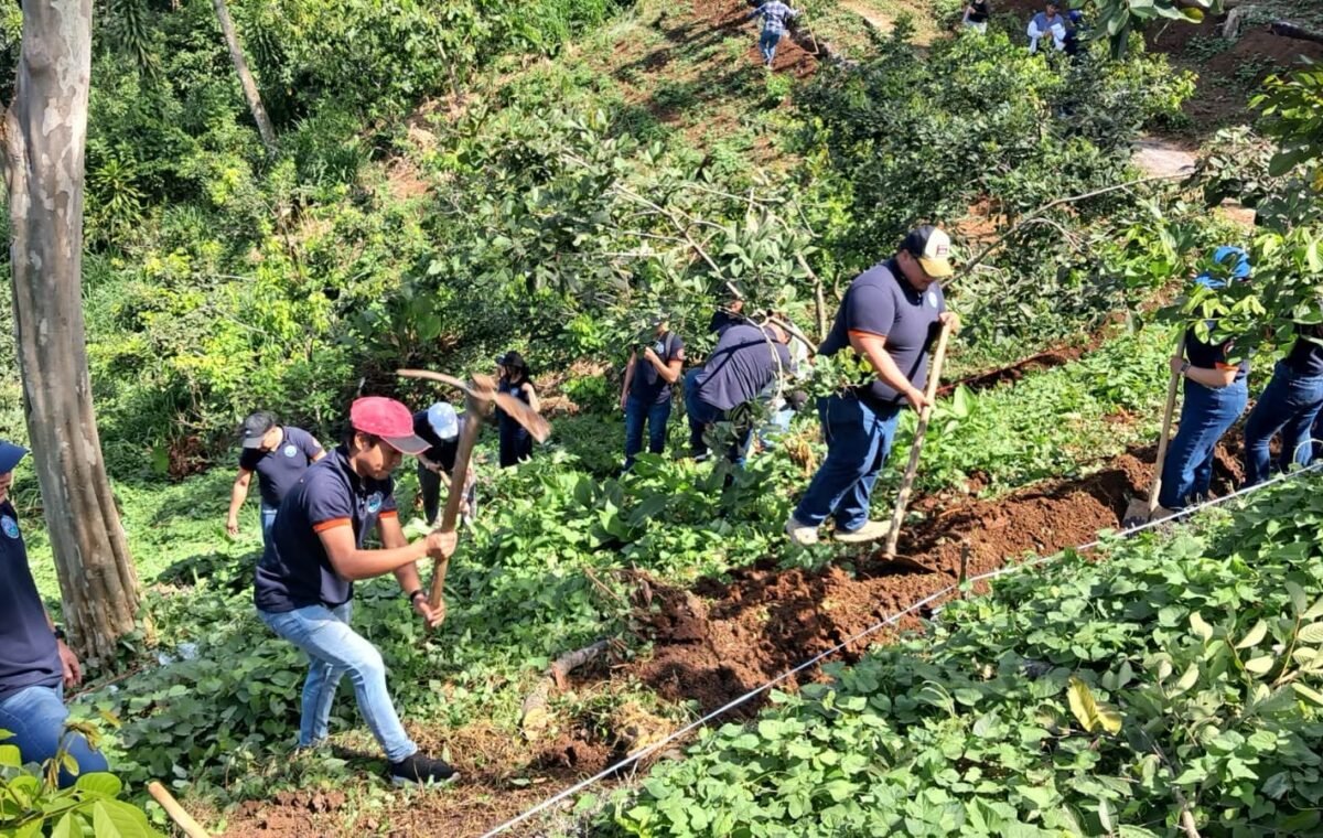 Las lluvias en Guatemala favorecen los cultivos y la recuperación de agua en las zonas agrícolas