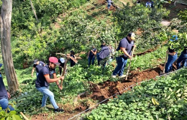 Las lluvias en Guatemala favorecen los cultivos y la recuperación de agua en las zonas agrícolas