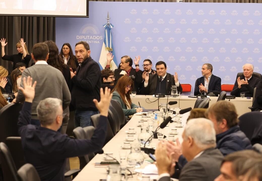 Discapacidad: el Gobierno dio marcha atrás y consiguió un dictamen, pero persiste la desconfianza por el proyecto