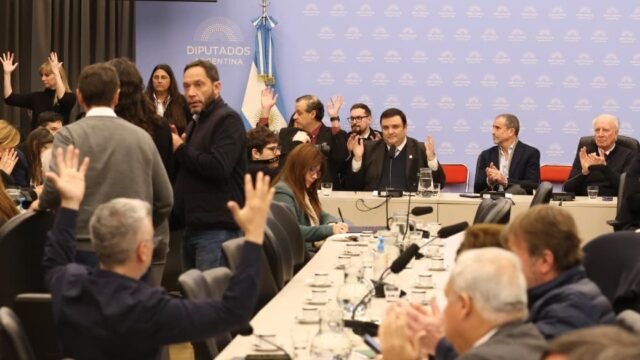 Discapacidad: el Gobierno dio marcha atrás y consiguió un dictamen, pero persiste la desconfianza por el proyecto