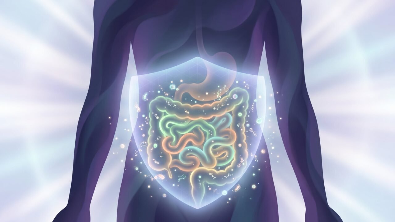 Un gastroenterólogo de Harvard explicó qué ocurre en el intestino cuando falta fibra y cómo ese proceso puede afectar la saciedad