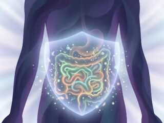 Un gastroenterólogo de Harvard explicó qué ocurre en el intestino cuando falta fibra y cómo ese proceso puede afectar la saciedad