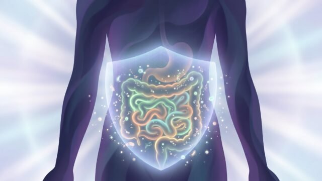 Un gastroenterólogo de Harvard explicó qué ocurre en el intestino cuando falta fibra y cómo ese proceso puede afectar la saciedad
