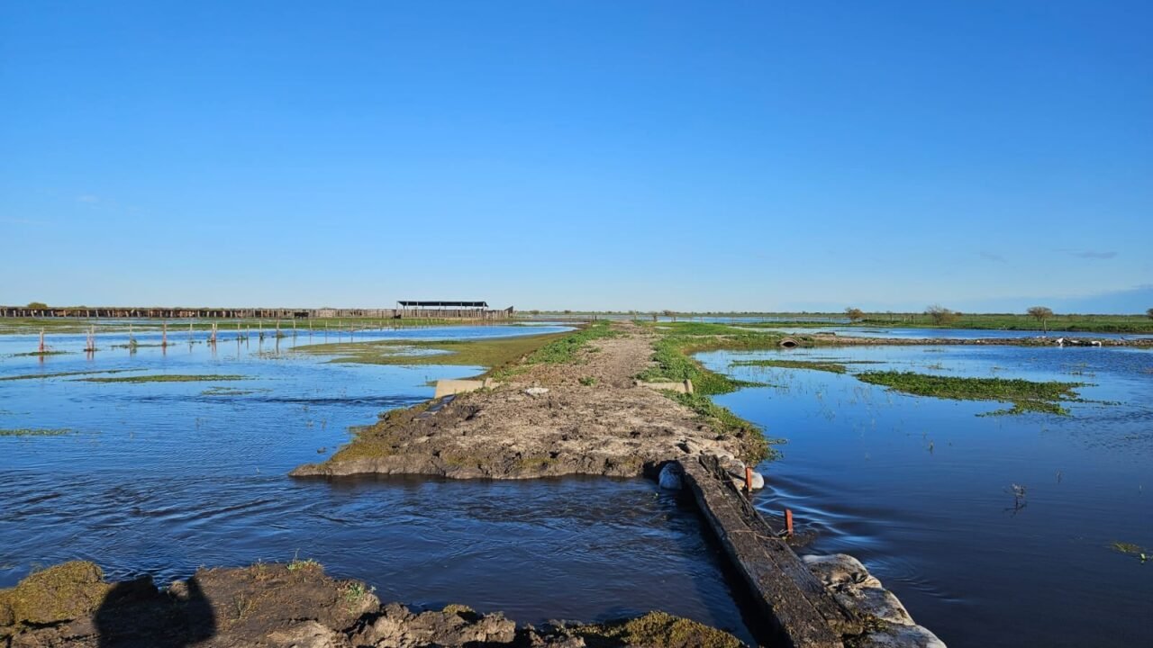 El Niño no es solo un problema del campo: es un riesgo de toda la cadena de valor