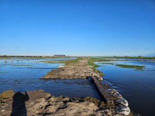 El Niño no es solo un problema del campo: es un riesgo de toda la cadena de valor