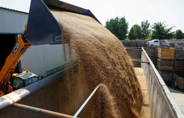 Por cada $100 de renta que genera una hectárea agrícola, $58,20 se destinan al pago de impuestos
