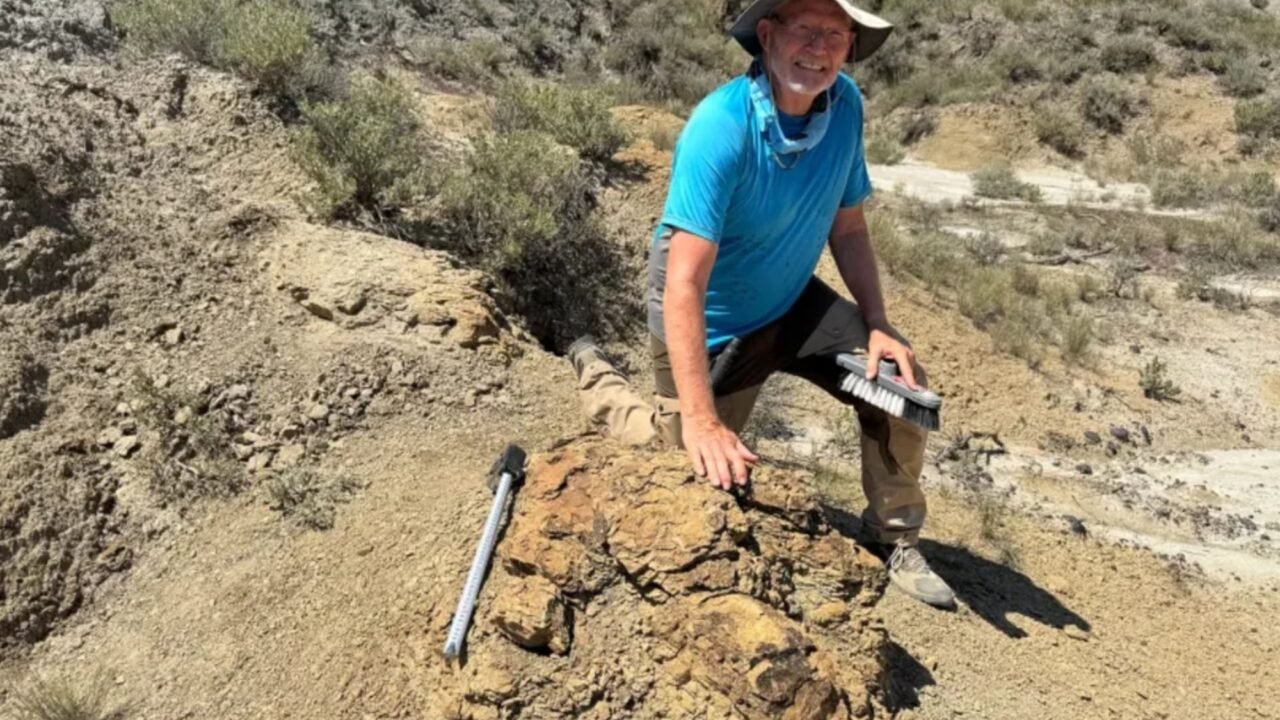 Un profesor de Colorado descubre cinco huellas que revelan cómo caminaba un T. rex en EE.UU.