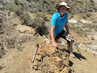 Un profesor de Colorado descubre cinco huellas que revelan cómo caminaba un T. rex en EE.UU.