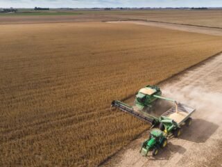 Crédito para el campo: seis de cada diez empresas necesitaron financiamiento
