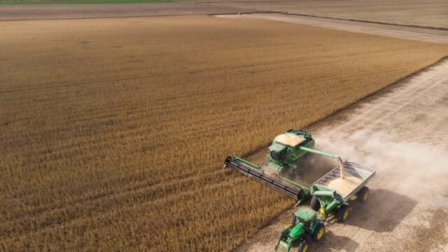 Crédito para el campo: seis de cada diez empresas necesitaron financiamiento