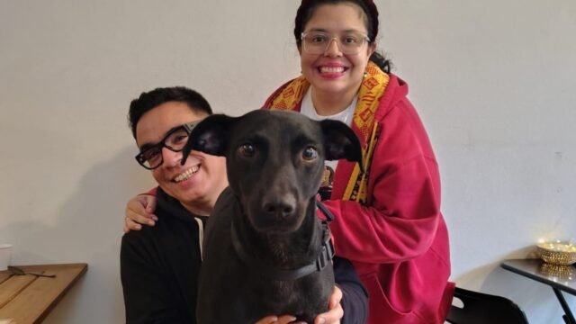 La historia de Sakura: la encontraron con sus cachorros en una plaza de Almagro y su vida dio un giro conmovedor