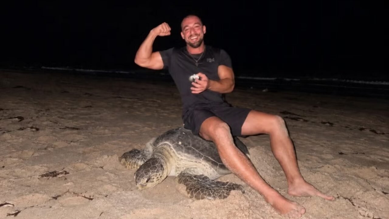 El video que indigna a las redes: influencer se sienta sobre una tortuga marina que ponía huevos en una zona protegida