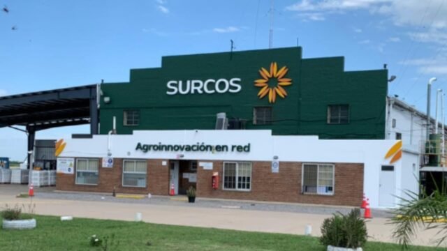 En concurso: una empresa del agro consiguió una prórroga para presentar una propuesta a sus acreedores y hoy factura unos US$20 millones