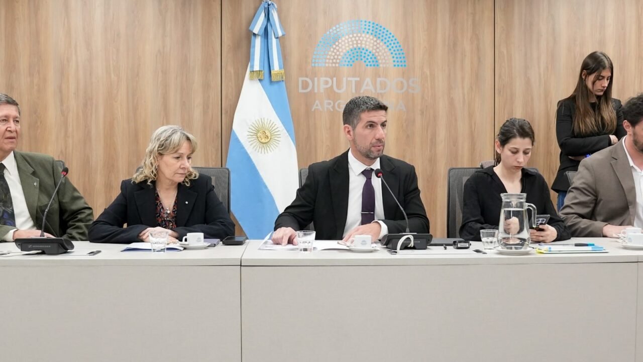 Tras la tragedia del fentanilo, Diputados avanza con una ley para rastrear los medicamentos de alto riesgo