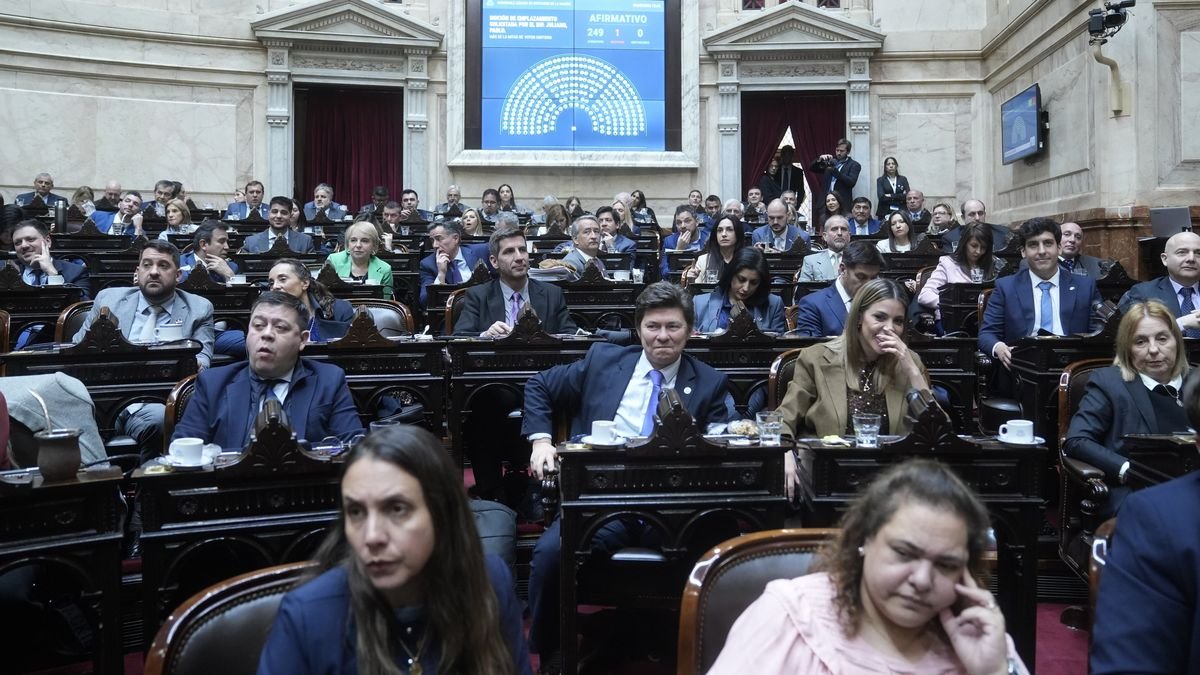 Discapacidad: tras el conflicto por el Presupuesto, el Gobierno presentó su propuesta “superadora”