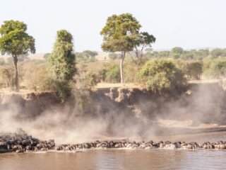 Tanzania: las inesperadas enseñanzas de la naturaleza más salvaje