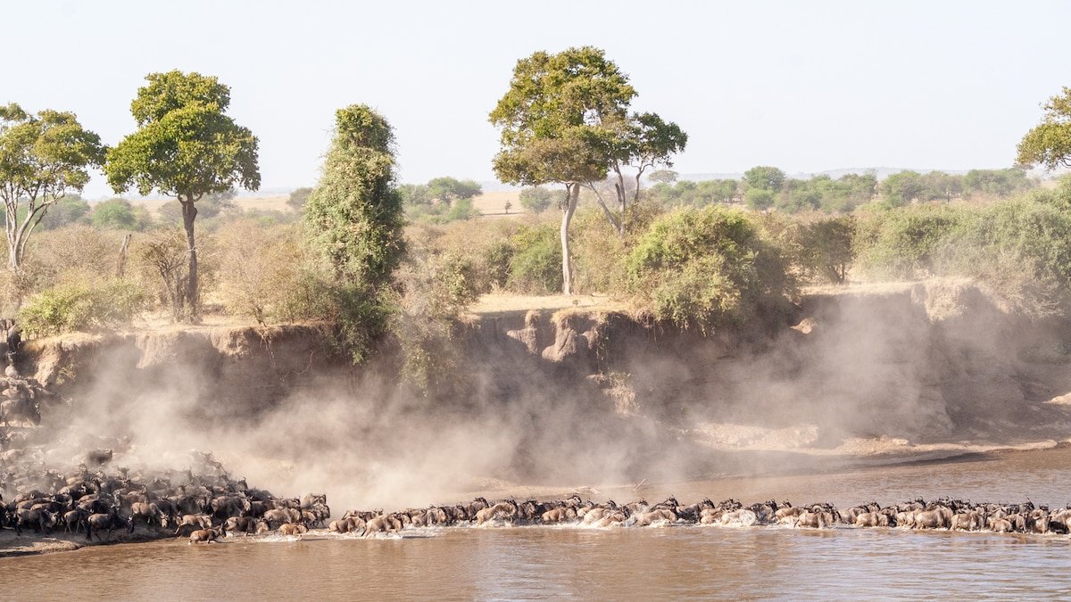 Tanzania: las inesperadas enseñanzas de la naturaleza más salvaje