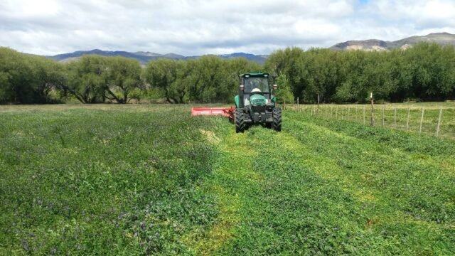 Lago Posadas: acuerdan la limpieza de más de 17 kilómetros del sistema de riego público