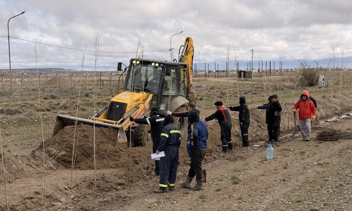 Forestación en el ingreso a Las Heras: comenzó un plan que contempla 10.000 árboles