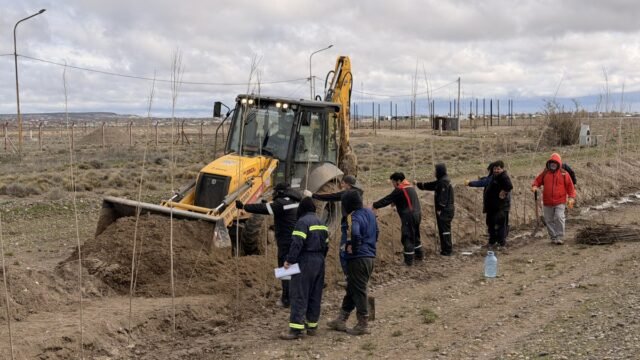 Forestación en el ingreso a Las Heras: comenzó un plan que contempla 10.000 árboles