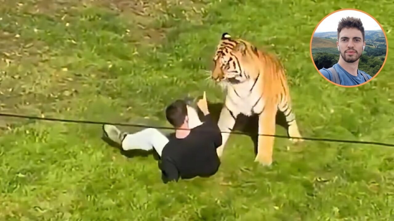 Confirmaron la identidad del joven que murió tras ser atacado por un tigre en un zoológico británico