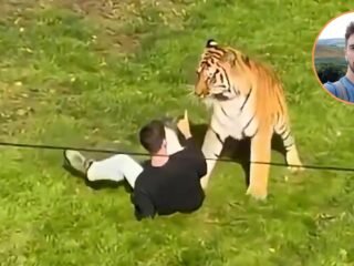 Confirmaron la identidad del joven que murió tras ser atacado por un tigre en un zoológico británico