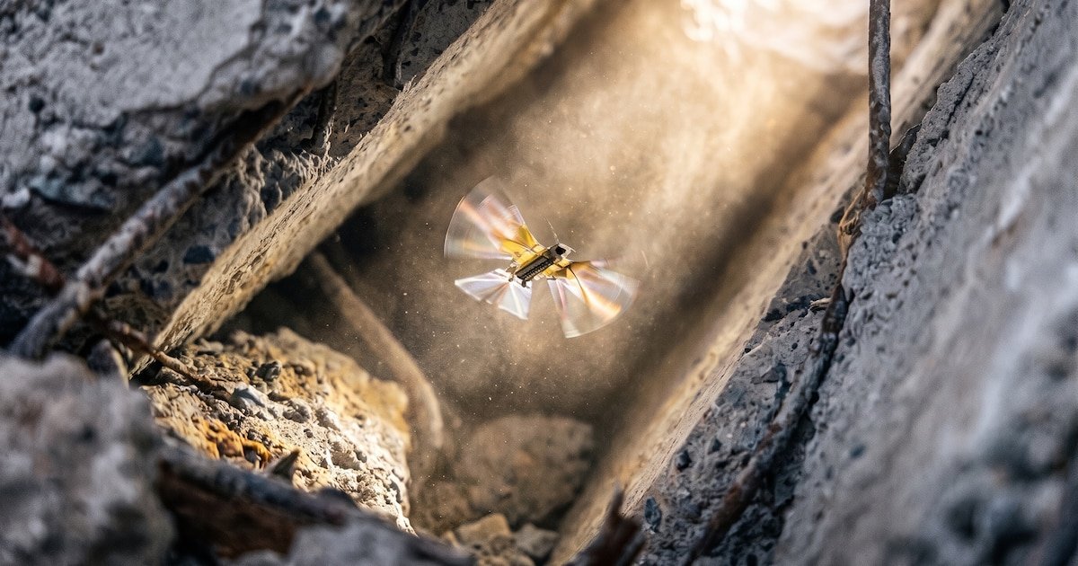 Desarrollan un robot inspirado en insectos que promete revolucionar la exploración en entornos extremos