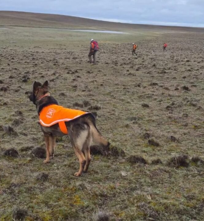 La búsqueda del mueblista chileno que intentaba llegar a Río Gallegos: le envió un video a su familia