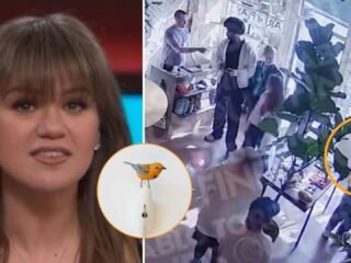 Escala la pelea de Kelly Clarkson con una tienda de arte en Nueva York: un video de seguridad sale a la luz