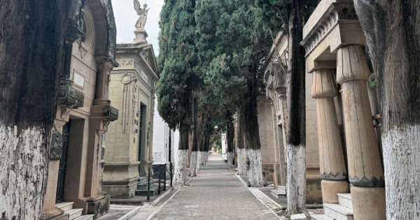 Cementerios de Salta: horarios y misas por Todos los Santos y Fieles Difuntos 2026