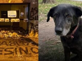 Convocan a una marcha por »Negrita»: denuncian amenazas y pedirán penas para el maltratador
