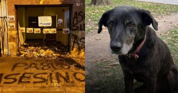 Convocan a una marcha por »Negrita»: denuncian amenazas y pedirán penas para el maltratador