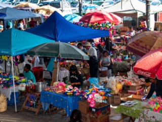 Súper económicos: ramitos y coronas para los difuntos en Jujuy, todos los precios