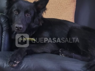 Mora ya lleva 10 días perdida en Salta: el pedido desesperado de una familia salteña
