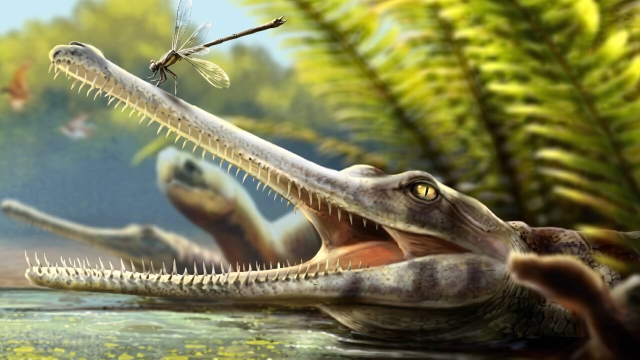 Identifican un fósil de cocodrilo prehistórico que podría cambiar lo conocido sobre la alimentación de estos reptiles