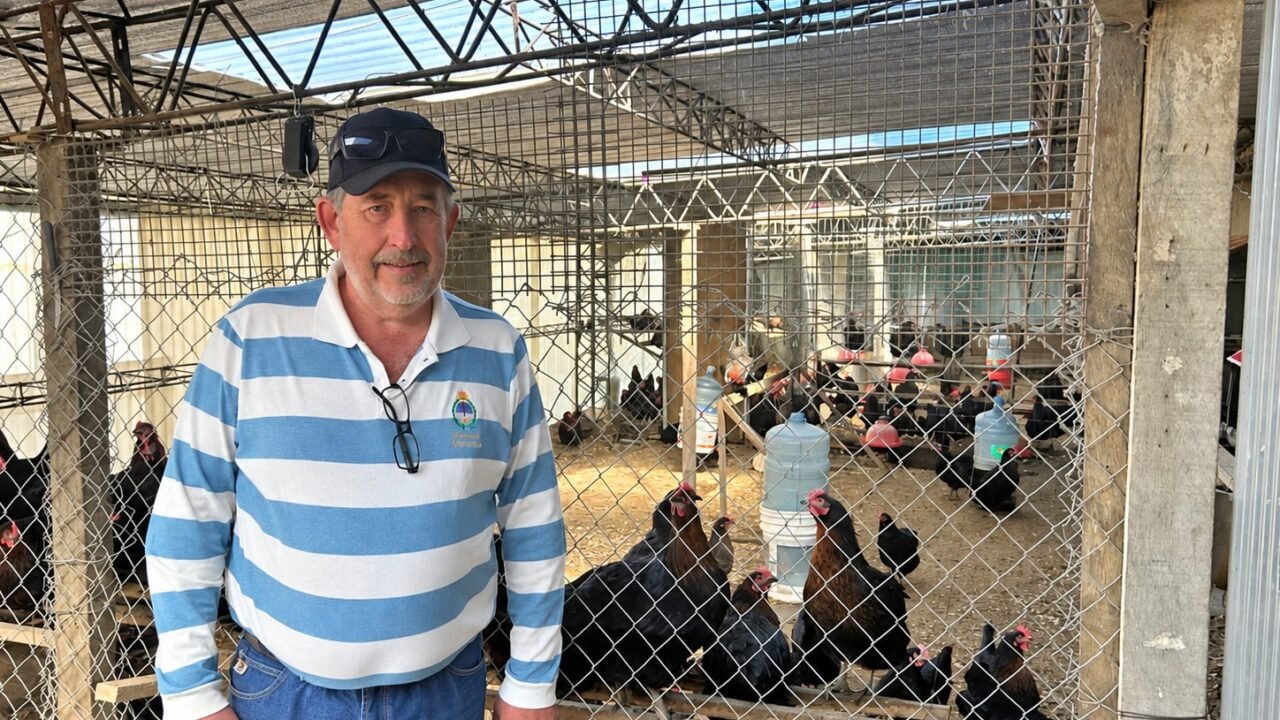 Nelson Ginter, de 62 años, el productor de huevos de color azul más austral del mundo: “Si los dejás más de un día se congelan”